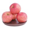 Top Quality fresh apples