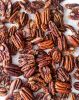 Raw Pecan Nuts