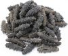 Selling Best Quality Japanese Dried Sea Cucumber