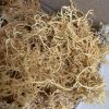 Irish Sea Moss from Viet Nam - Sven + 84 966722357