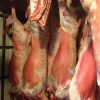 HALAL FRESH / FROZEN GOAT / LAMB / SHEEP MEAT / CARCASS