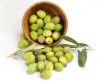 Green olive, Fresh olive Pitted Green Olives, Sliced Green Olives