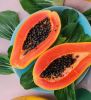 Buy Good Taste Hot Selling Fresh Quality Papayas