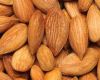 Premium Quality Organic Raw Dried Almond Nuts