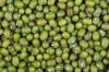 MUNG BEANS FOR SALE