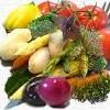 Offer To Sell Fresh Fruits and Vegetables