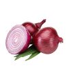 Fresh high quality Onions