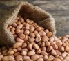FRESH GROUNDNUTS FROM NIGERIA