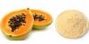 Top Quality Pure 100% Natural Papaya Powder Papaya Fruit Powder Papaya Juice Powder