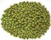 Green Mung Bean