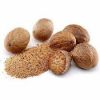 Nutmeg Factory supply bulk Top quality best price dried whole Nutmeg