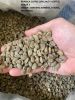 indonesia arabica toraja coffee