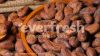 Cocoa Beans