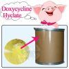 Sell Doxycycline Hyclate