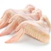 Frozen Brazil Chicken Paws - Halal Chicken Feet for Sale Whole Chicken - Chicken Middle Joint Wings