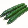 Fresh Cucumber/ Fresh Vegetable Cucumber Organic Wholesale High Quality Healthy Fresh Cucumber