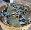 Hot Sale Live Mud Crabs, Blue Crabs, King Crabs /Live Seafood/ Frozen King Crab