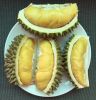 WholeSale Fresh Musang King Durian From South Africa