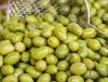 OLIVES in BRINE for Sale Black Olives, Pitted Black Olives, Sliced Green Raw Fresh Olives