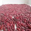 Wholesale Dried Small Dark Red Kidney Beans Price