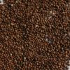 Dried Perilla seed