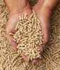 Manufacture wood pellets Wood Pellets / Biomass/ Wood Pellet Fuel for heating