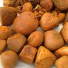 Natural Bezoar (Gallstone) , Cow Bezoar Gallstones