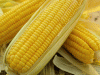 yelloaw corn