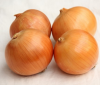 Good Quality Fresh Onion