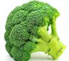Grade A Export Wholesale High Quality Organic IQF Frozen Fresh Broccoli