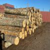 FIREWOOD LOGS / Wood Logs /Birch / Oak / Ash / Pine