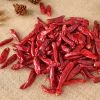 Dried Pepper / Red Chili Pepper powder
