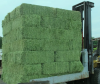 Alfalfa Hay Pellet for Animal Feed for export