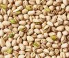 Pistachio Nuts Top Grade