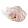 bulk whole chicken for sale