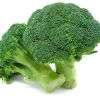 fresh broccoli for sale