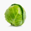 fresh cabbage for sale