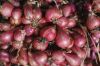 Shallots (Grade A)