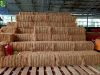 Best Selling Export of Coconut Fiber From Indonesia