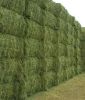 Alfalfa Hay, Timothy Hay and Grass Hay for sale