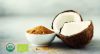 Sell Organic Coconut Palm Sugar