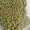 Top Selling good Quality Mung Beans