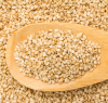 Quality sesame seeds