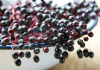 Elderberry