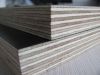 shuttering plywood finger joint core black film plywood thickness 12 mm