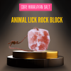 Himalayan Lick Rock Block