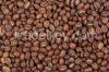 Coffee Beans Arabica Specialty Coffee From Family Farming Made in South Africa Coffee Beans in 30 kg Bags