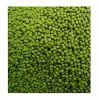 Green Mung Beans / Vigna Mung Beans Premium Quality Conventional Natural Mung Beans Green