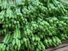 100% Fresh Vegetable Okra 100% Premium Quality Organic Ladies Finger/Fresh Okra Export