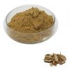 Most Popular Hot Sales Herbal Plant Extract Organic Cynanchum Wilfordii Extract Powder with Discounted Price